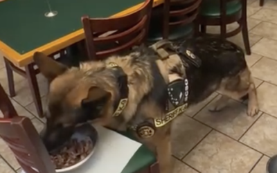 K-9 Sgt. Lanzer visits Brasilia Grill